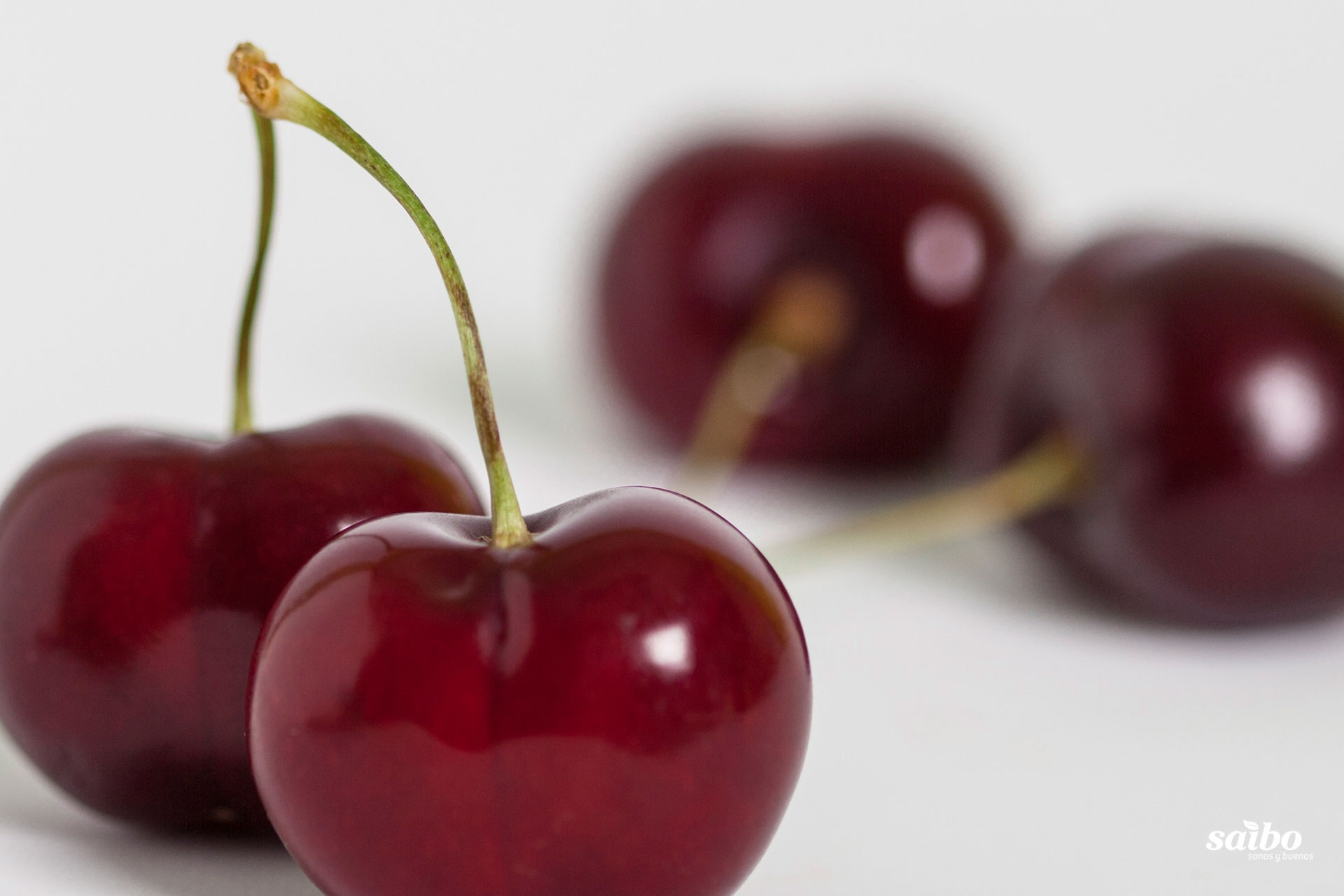 Fotografía de fondo 02. Descargas de Saibo