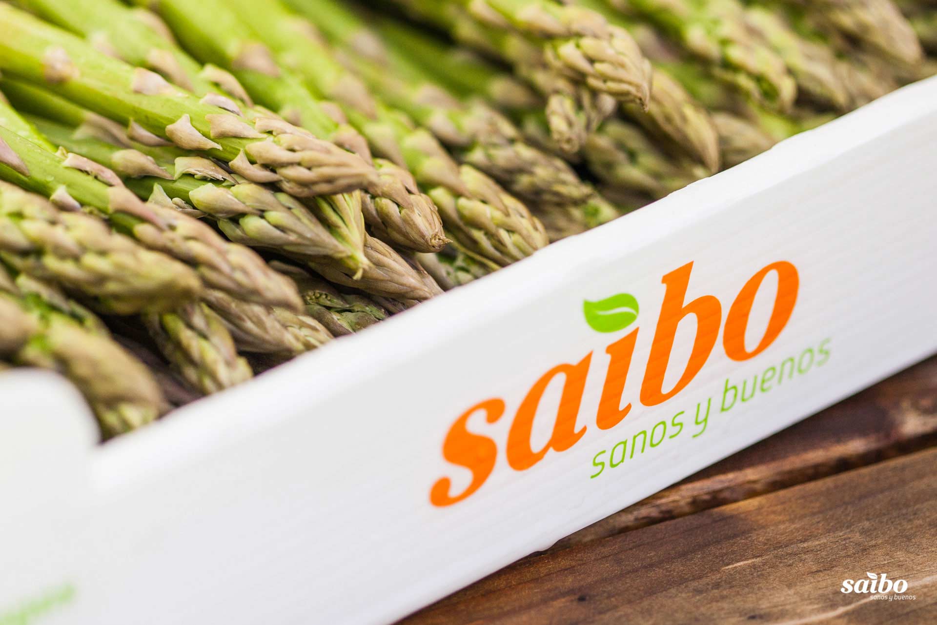 Fotografía de fondo 05. Descargas de Saibo