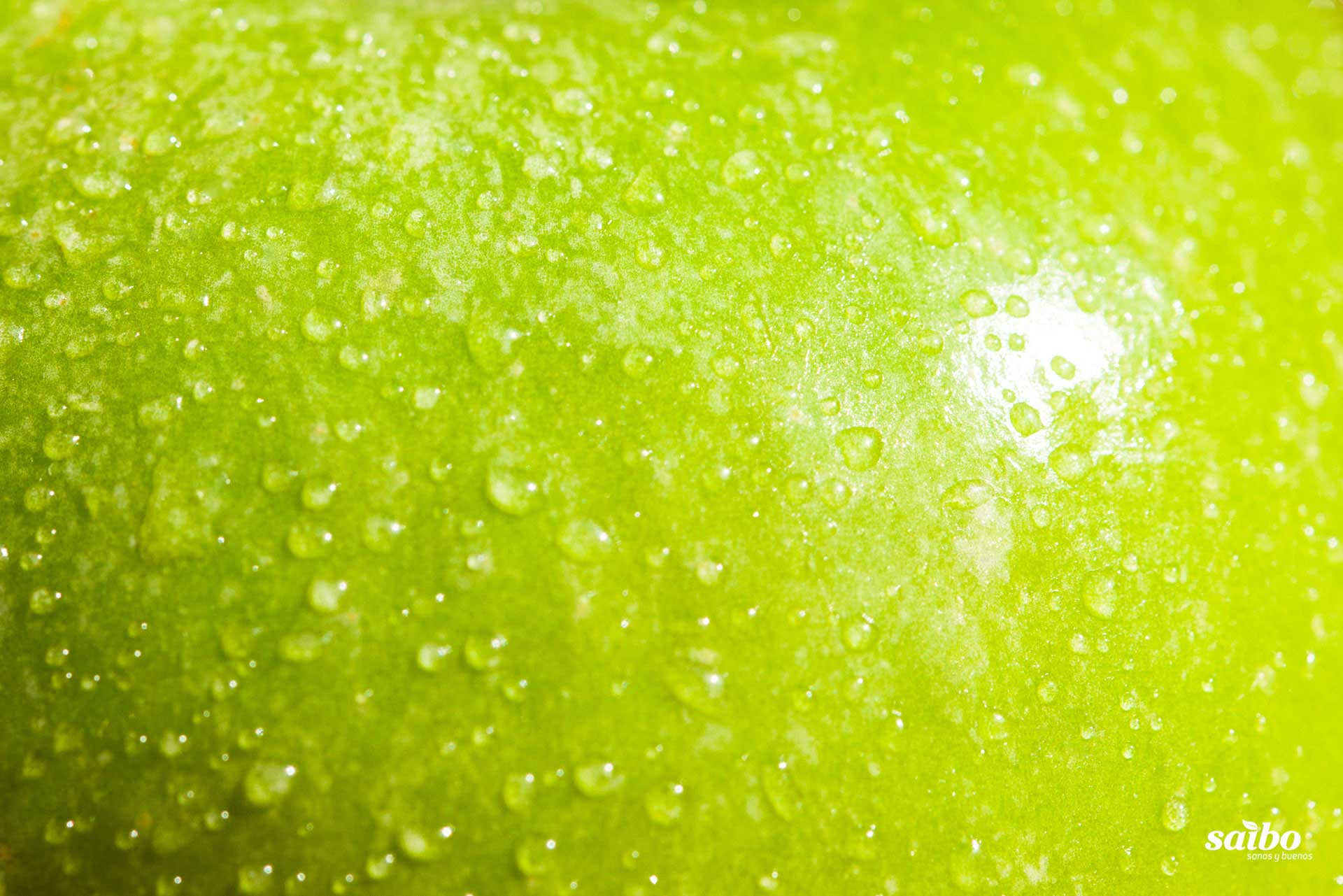 Fotografía de fondo 12. Descargas de Saibo