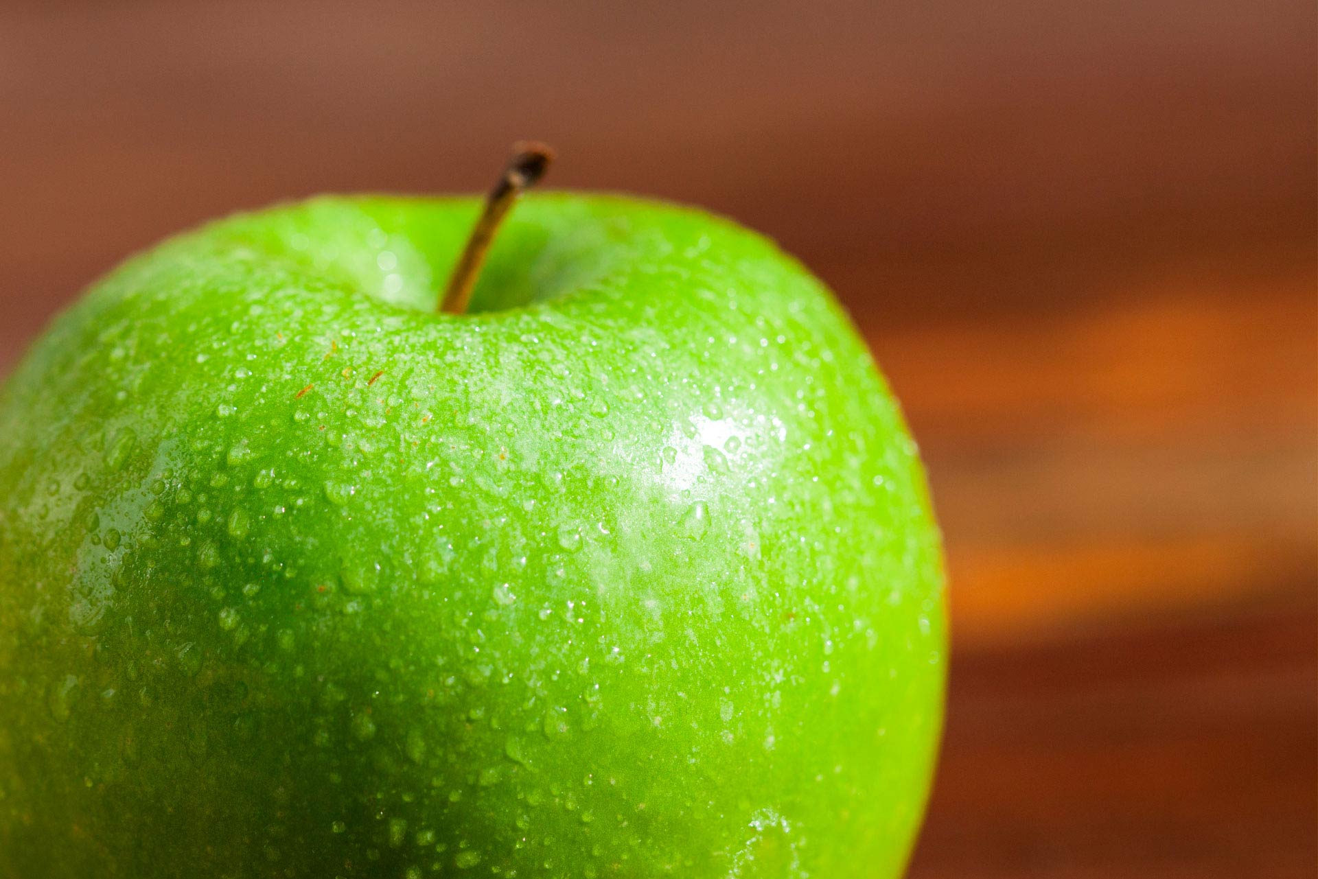 Fotografía de fondo 04. Hisoria de Saibo