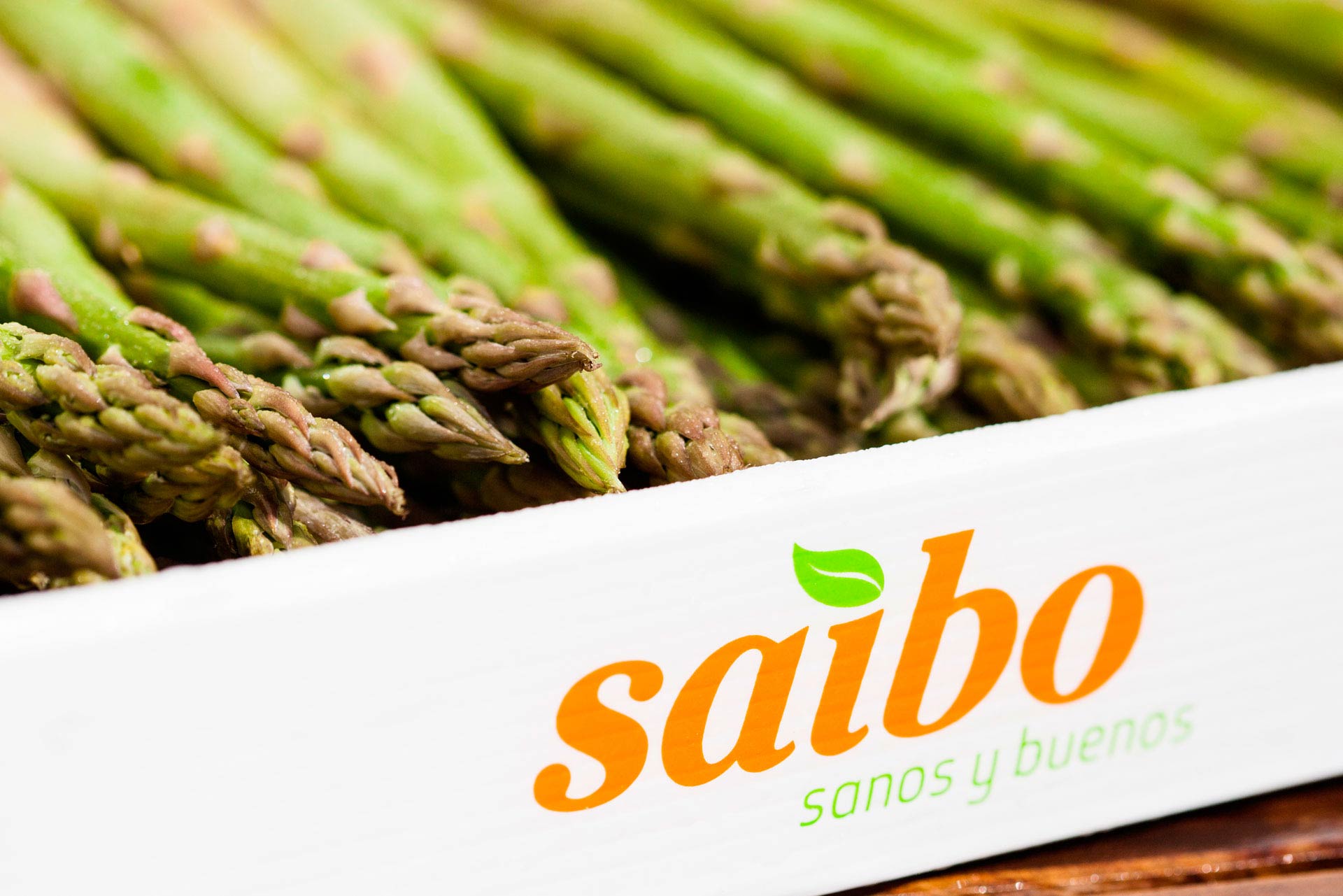 Fotografía de fondo 06. Hisoria de Saibo